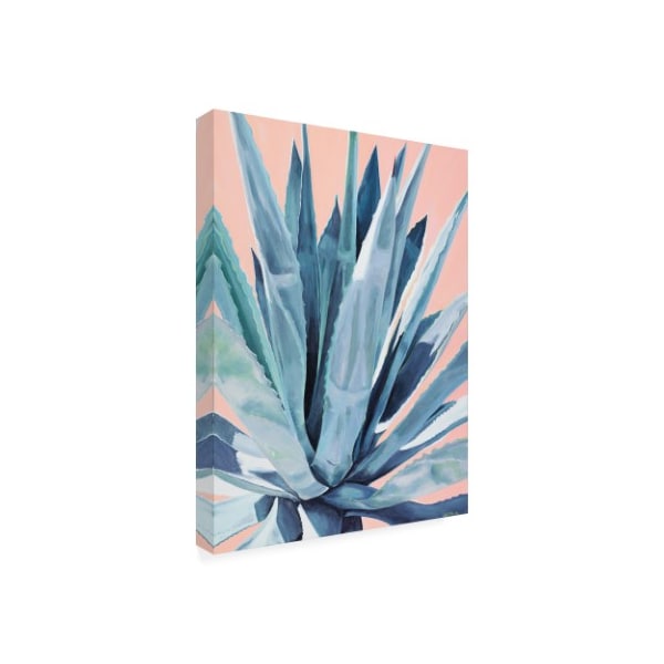 Alana Clumeck 'Agave With Coral' Canvas Art,24x32